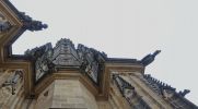 PICTURES/Prague Castle/t_St. Vitus Gargoyles.JPG